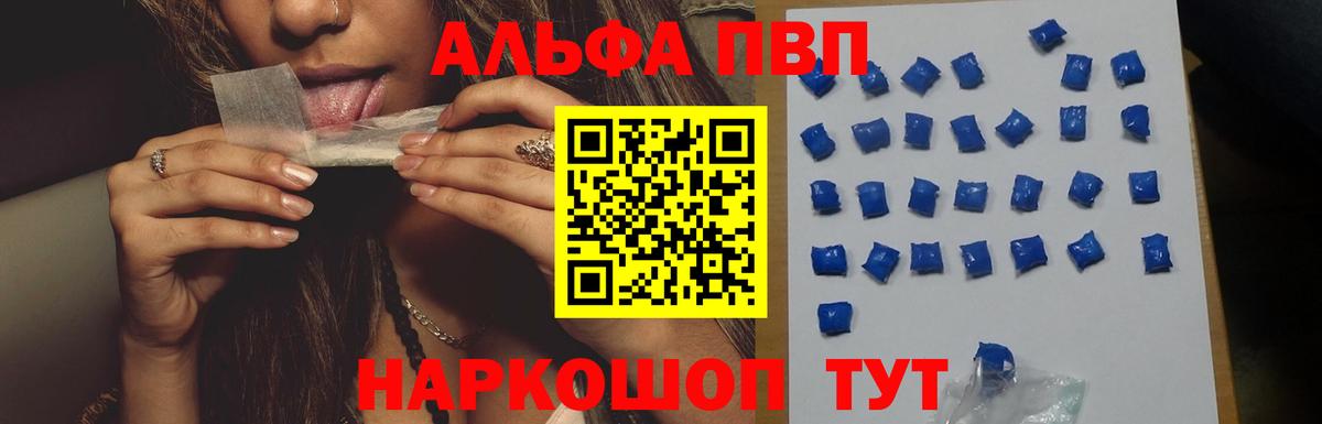 A PVP СК КРИС Железногорск