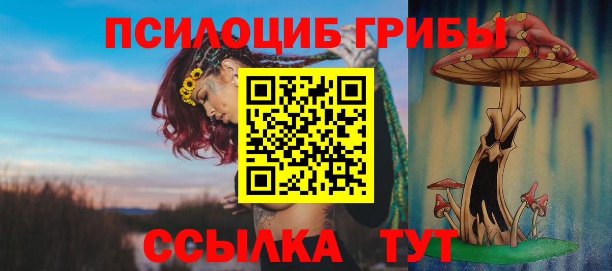 Псилоцибиновые грибы Psilocybine cubensis  Вход с VPN  Железногорск 